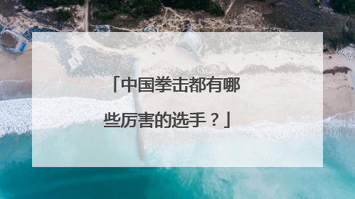 中国拳击都有哪些厉害的选手？