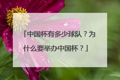 中国杯有多少球队？为什么要举办中国杯？