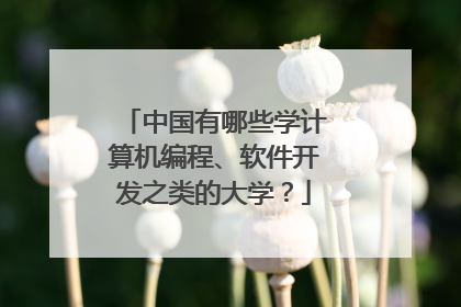 中国有哪些学计算机编程、软件开发之类的大学?