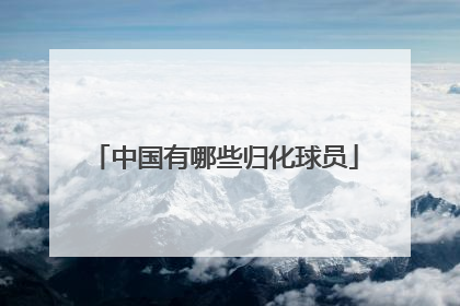 中国有哪些归化球员