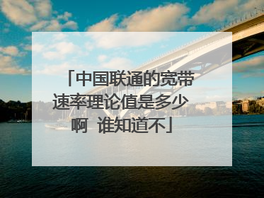 中国联通的宽带速率理论值是多少啊 谁知道不