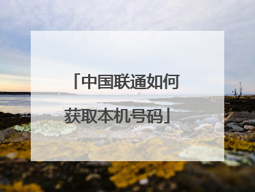 中国联通如何获取本机号码