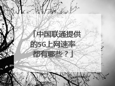 中国联通提供的5G上网速率都有哪些?