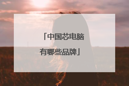 中国芯电脑有哪些品牌