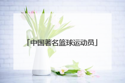 中国著名篮球运动员