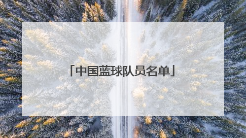 中国蓝球队员名单