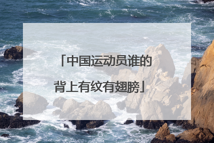 中国运动员谁的背上有纹有翅膀