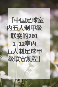 中国足球室内五人制甲级联赛的2011-12室内五人制足球甲级联赛规程