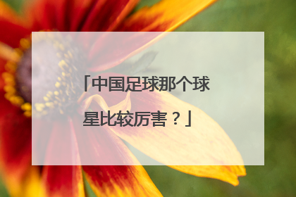 中国足球那个球星比较厉害？