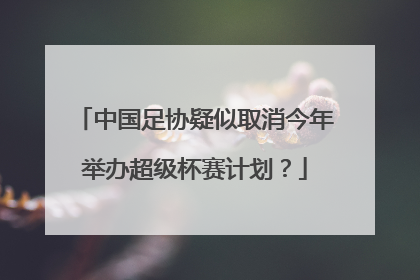 中国足协疑似取消今年举办超级杯赛计划？