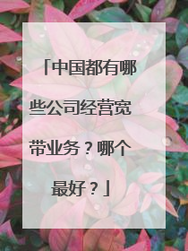 中国都有哪些公司经营宽带业务?哪个最好?