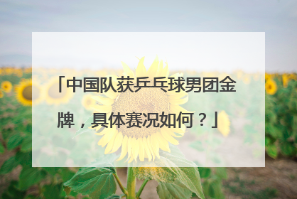 中国队获乒乓球男团金牌，具体赛况如何？