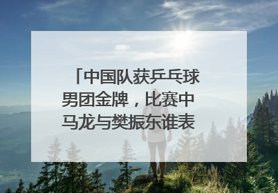 中国队获乒乓球男团金牌，比赛中马龙与樊振东谁表现更出色？