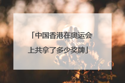 中国香港在奥运会上共拿了多少奖牌