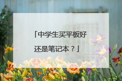 中学生买平板好还是笔记本?