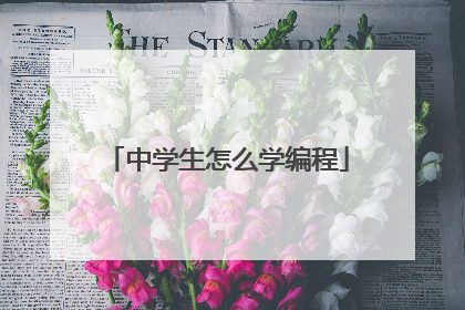 中学生怎么学编程