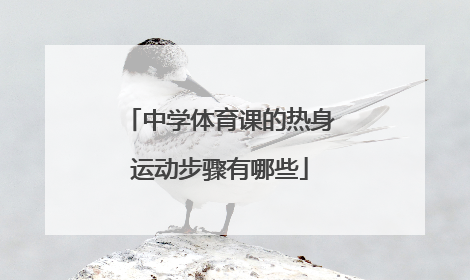 中学体育课的热身运动步骤有哪些