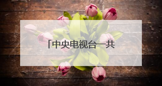 中央电视台一共有17个频道，是哪17个？