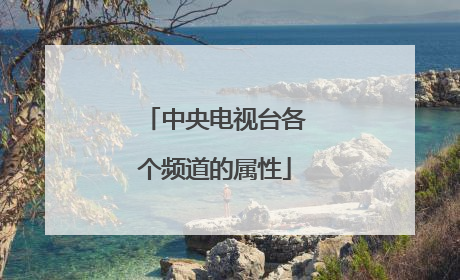 中央电视台各个频道的属性