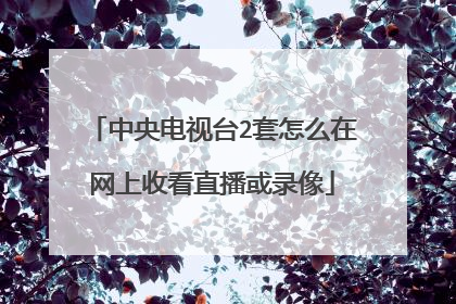中央电视台2套怎么在网上收看直播或录像