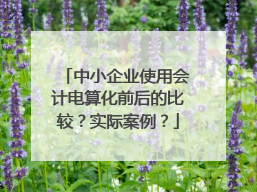 中小企业使用会计电算化前后的比较?实际案例?
