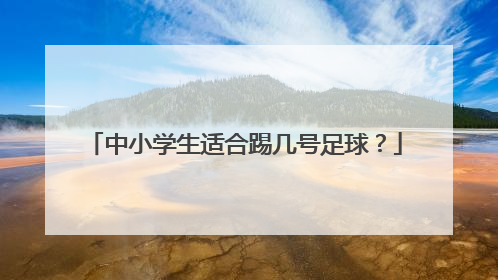 中小学生适合踢几号足球？