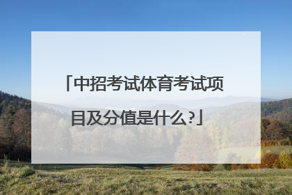 中招考试体育考试项目及分值是什么?