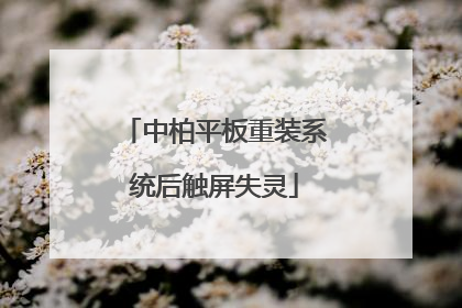 中柏平板重装系统后触屏失灵