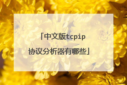 中文版tcpip协议分析器有哪些