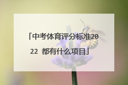 中考体育评分标准2022 都有什么项目