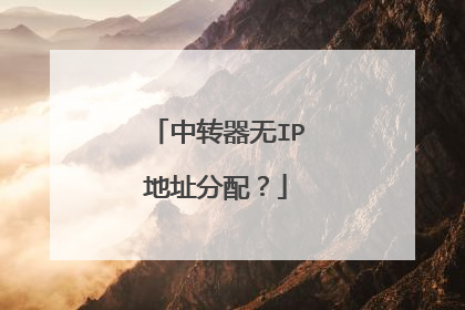 中转器无IP地址分配?