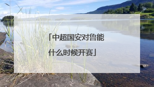 中超国安对鲁能什么时候开赛