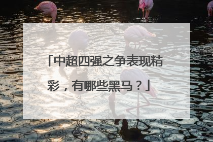 中超四强之争表现精彩，有哪些黑马？