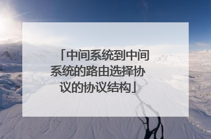 中间系统到中间系统的路由选择协议的协议结构