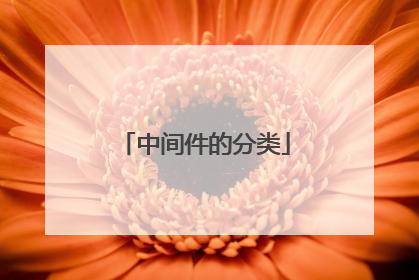 中间件的分类