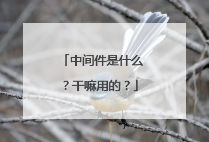 中间件是什么？干嘛用的？