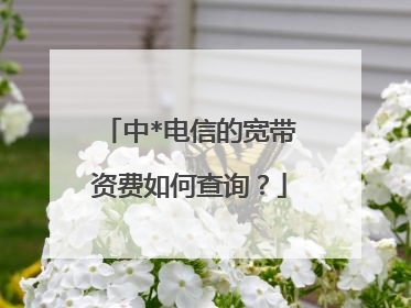中*电信的宽带资费如何查询？