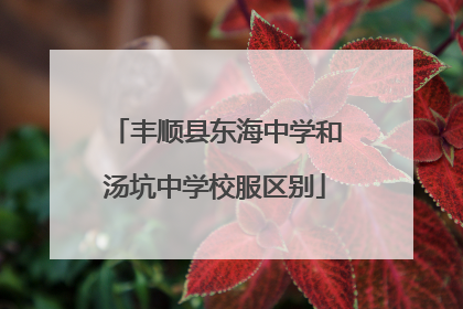 丰顺县东海中学和汤坑中学校服区别