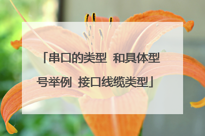 串口的类型 和具体型号举例 接口线缆类型