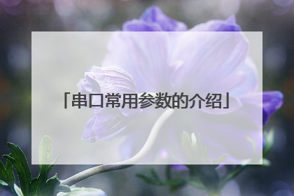 串口常用参数的介绍