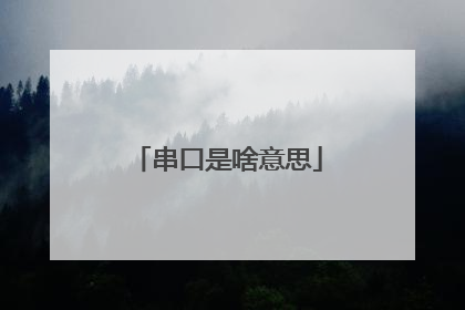 串口是啥意思