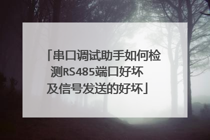 串口调试助手如何检测RS485端口好坏及信号发送的好坏