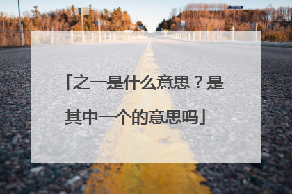 之一是什么意思?是其中一个的意思吗