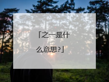 之一是什么意思?