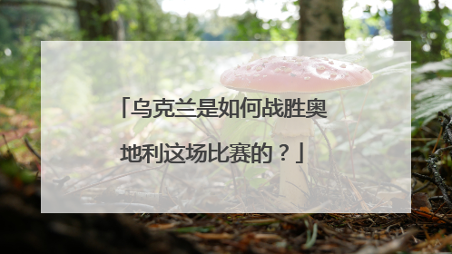 乌克兰是如何战胜奥地利这场比赛的？
