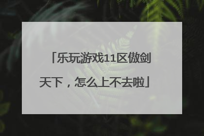乐玩游戏11区傲剑天下，怎么上不去啦