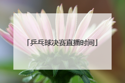 乒乓球决赛直播时间