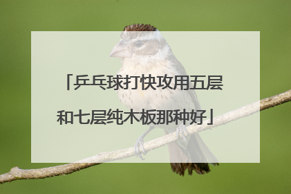 乒乓球打快攻用五层和七层纯木板那种好