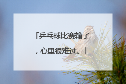 乒乓球比赛输了,心里很难过。