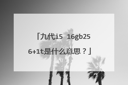 九代i5 16gb256+1t是什么意思?